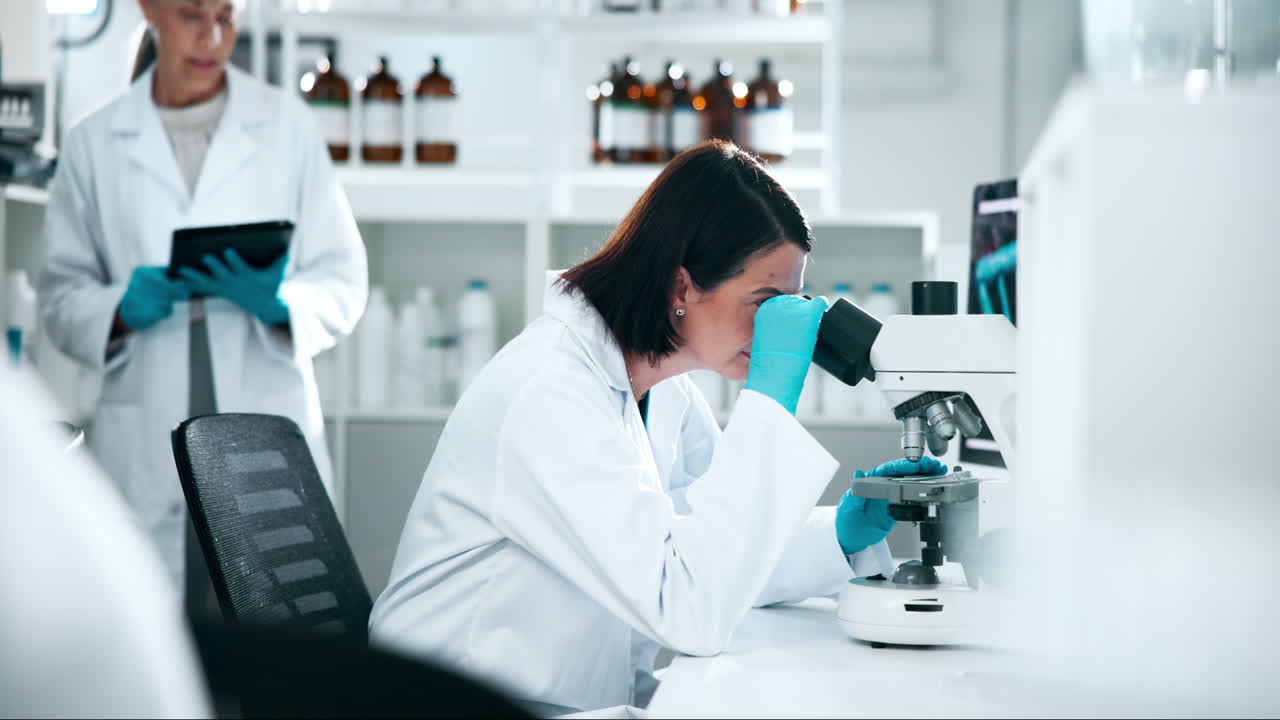 Scientists Working in a Medical Laboratory