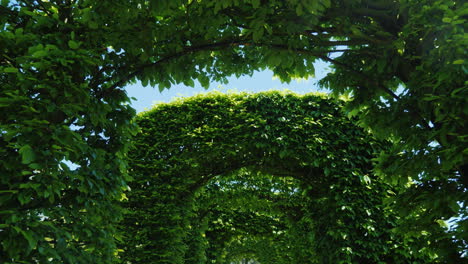 Leafy-Green-Arches