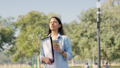 Mujer-De-Negocios-India-Yendo-A-Trabajar