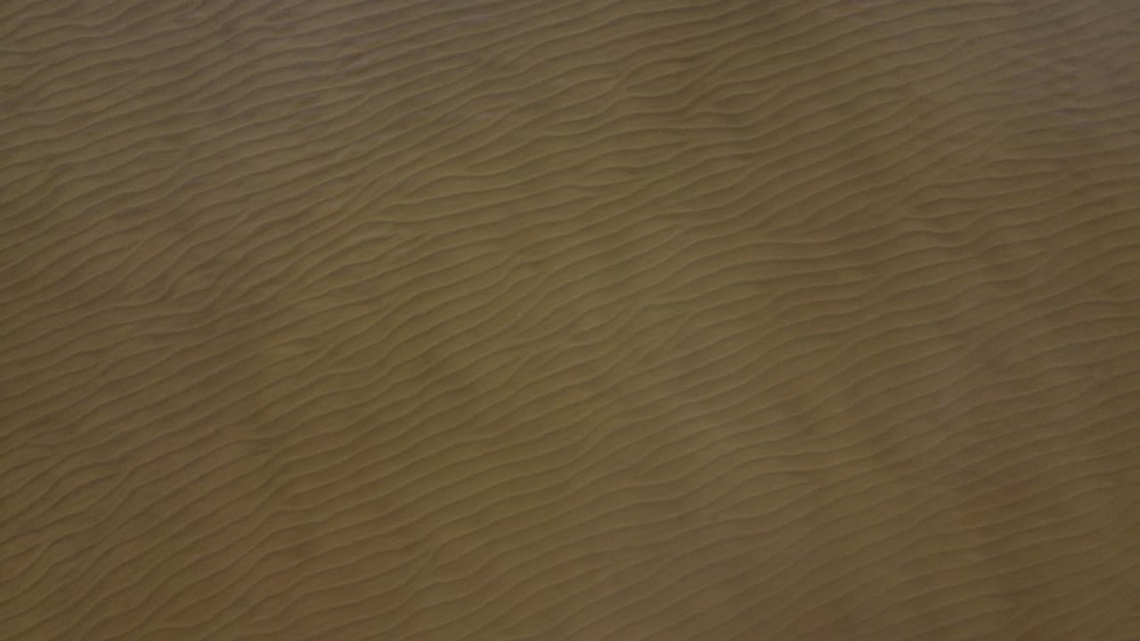 발트해 얕은 물 해안선 조감도