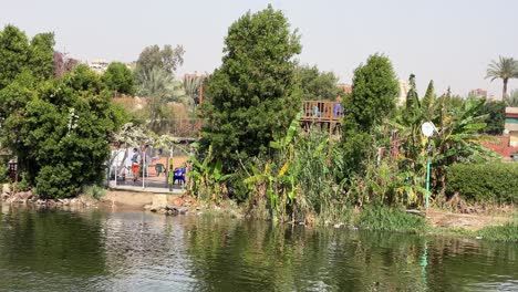 Río-Nilo-Cerca-De-El-Cairo-En-Egipto-Durante-El-Día-Con-Fauna-Y-Vegetación-En-El-Norte-De-África.