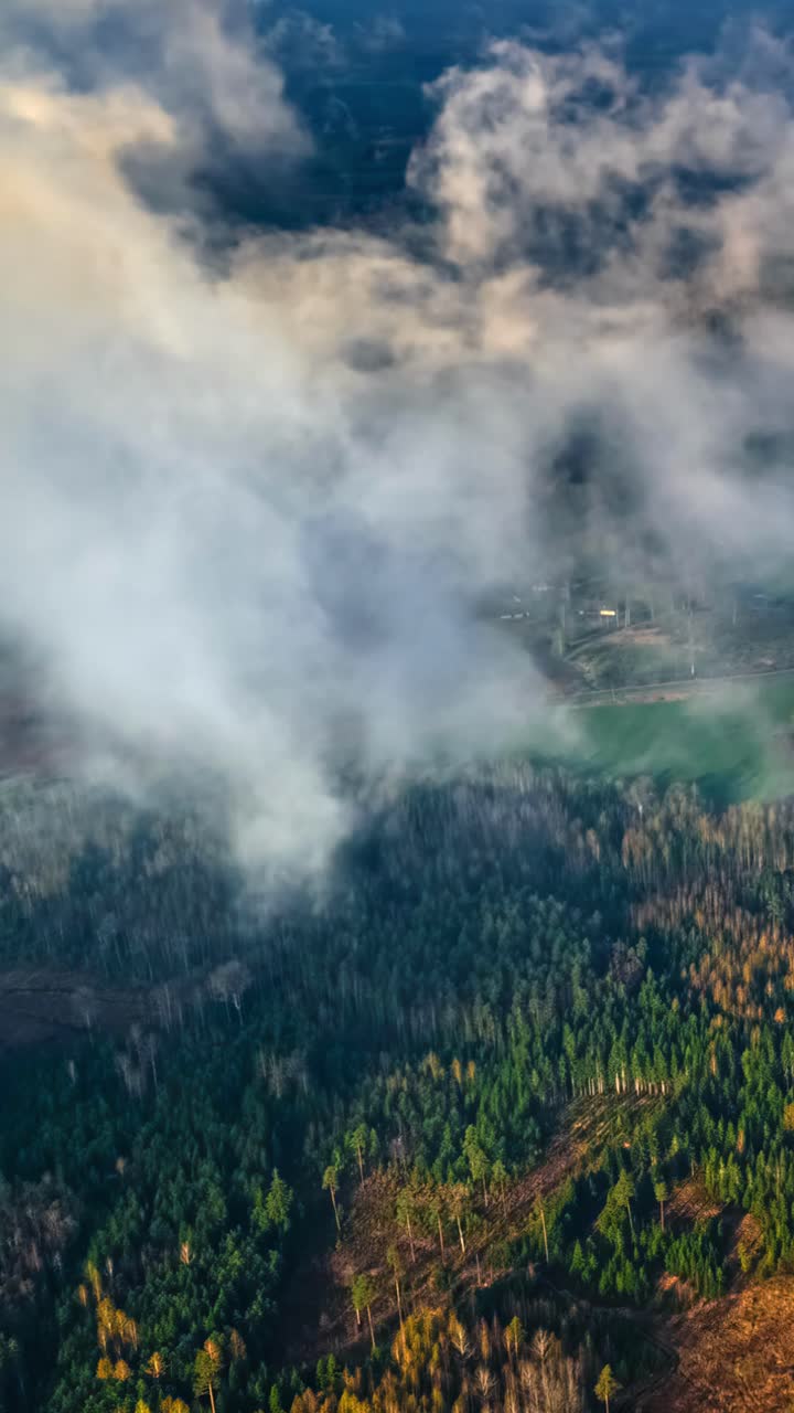 Morning fog drifts across green pastures and forested lowlands in aerial hyperlapse