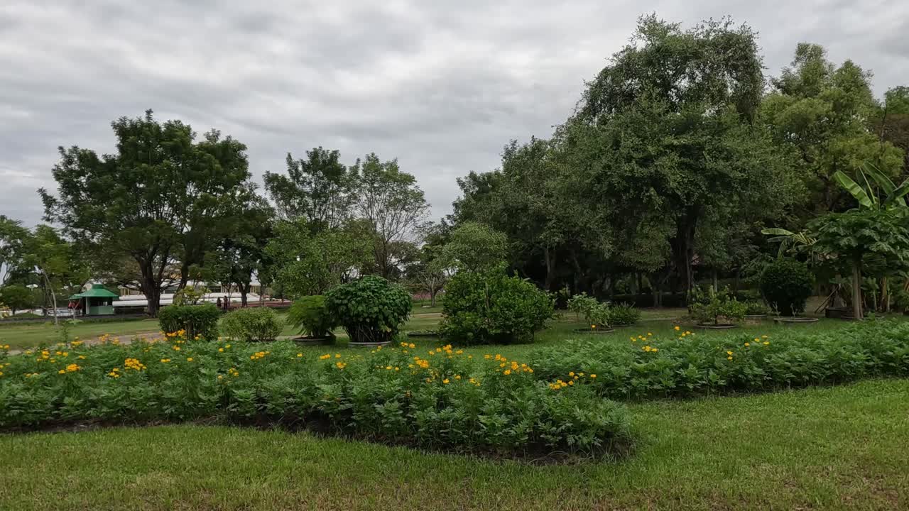 time-lapse de un parque tranquilo con la luz cambiante.
