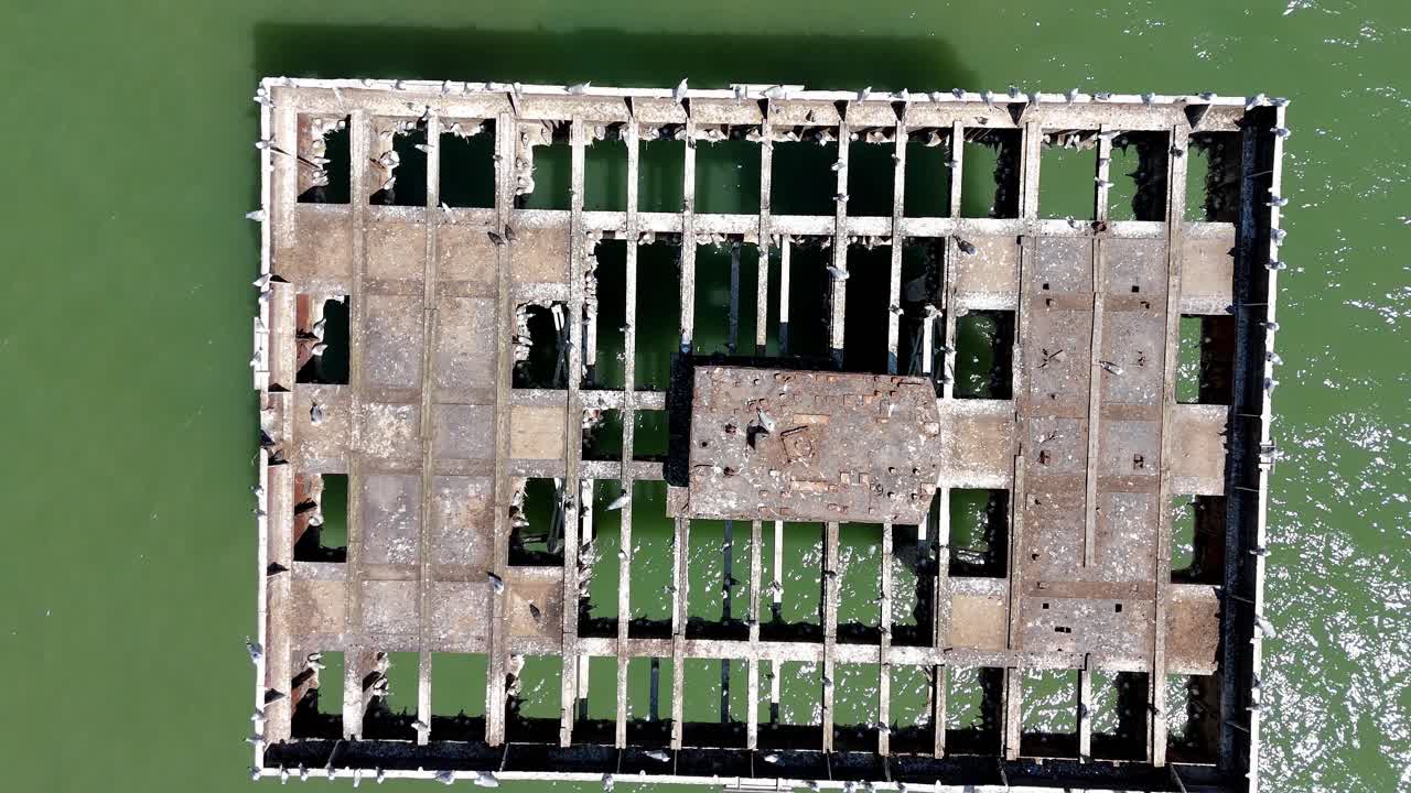 Top down aerial drone view of marine structure with nesting seabirds, kittiwakes in the North Sea England UK summer