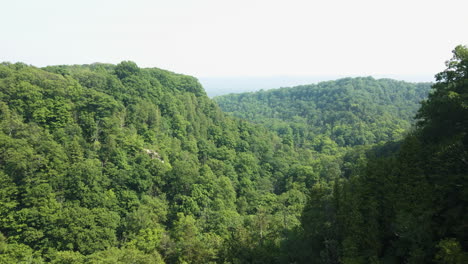 Massive-mountain-cliffs-covered-in-deciduous-tree-forests,-aerial-dolly-in-Canada