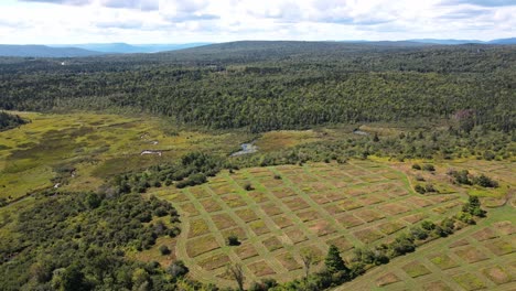 Hierba-Cortada-Extrañamente-En-Una-Llanura-En-Nueva-Inglaterra