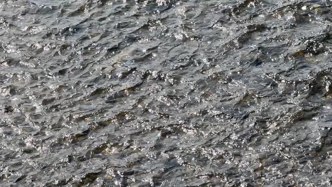 Close-up static shot of shimmering river water flowing with gentle ripples under bright daylight