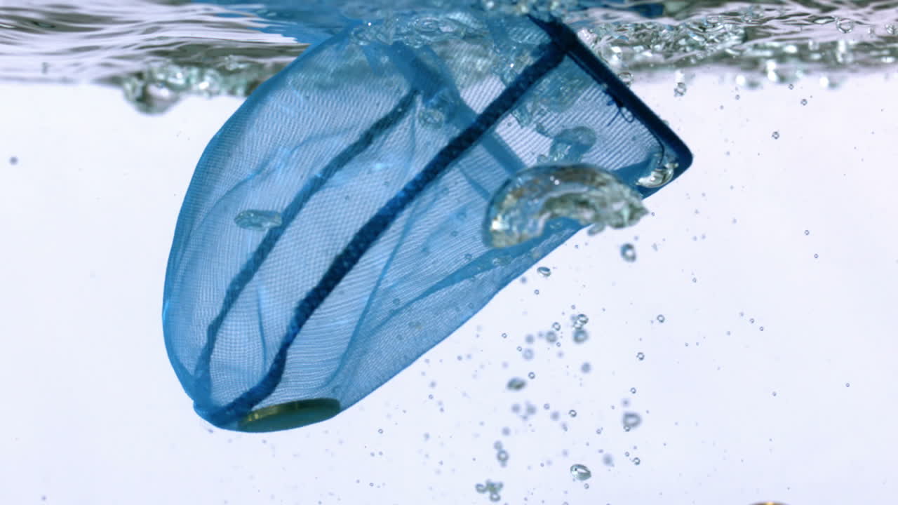 물에 떨어지는 유로 동전을 잡는 네트워크