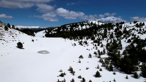 Verschneite-Landschaft-An-Einem-Sonnigen-Tag-Eines-Alpinen-Waldes-Auf-Der-Spitze-Eines-Berges-Im-Winter-Von-Einer-Dji-Drohne-Aus-Gesehen