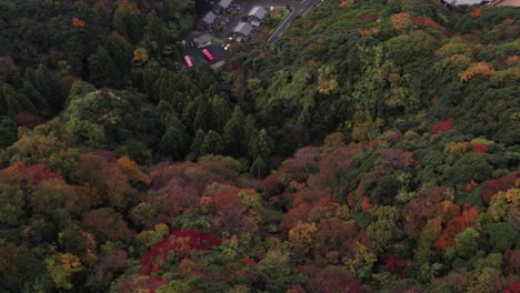 Aerial-drone-close-up-on-autumn-foliage-trees-forest,-Kyotango-village-Japan-travel-destination,-streets,-boathouses-and-blue-ocean-sea-of-Japanese-Summer,-Asia-coastline,-Green-islets-landscape