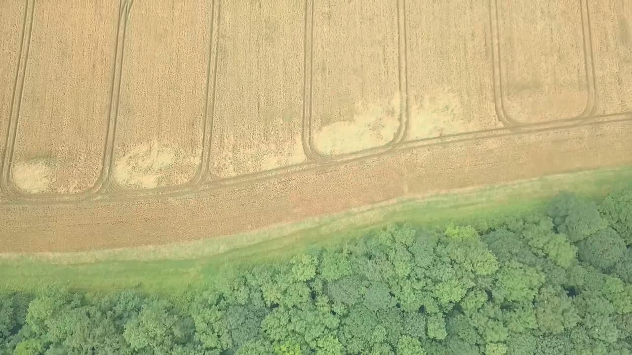vista aérea de un campo de agricultores cultivos y árboles