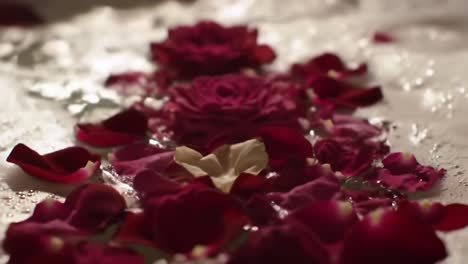 a serene bath experience: delicate rose petals and gentle bubbles create a relaxing atmosphere for tranquility and self-care in a luxurious setting
