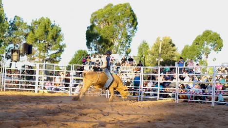 clown evades bull in action-packed rodeo scene