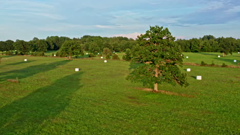 Aerial View of Green Field in the Sunset, Trees and Bales of Straw - Backwards Dolly Shot