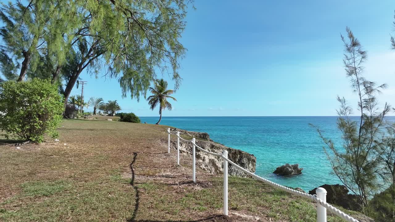 Peaceful coastal walkway lined with trees overlooking the turquoise sea in Barbados