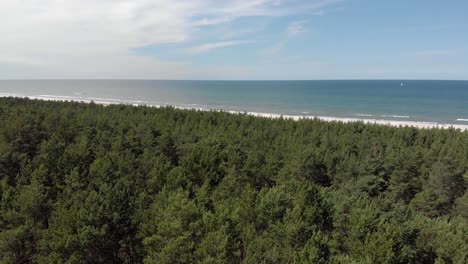 scenic aerial view of baltic sea and forest,pedestal shot