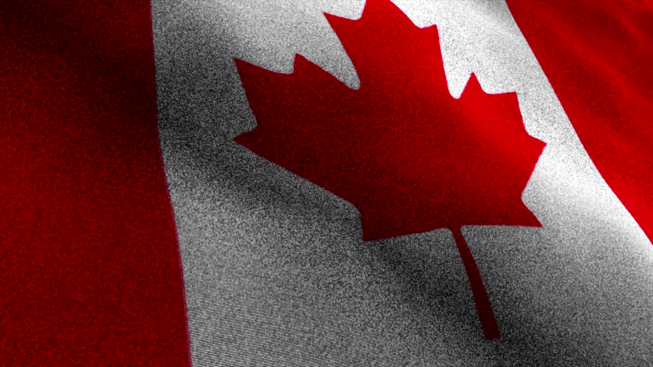 canadá, fondo de alfombra textil, cámara fija, bucle