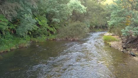 river flowing through a valley in mountain foothills