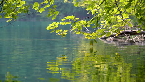 Close-up-lake-scenery-of-Plitvice-Lakes,-Croatia.