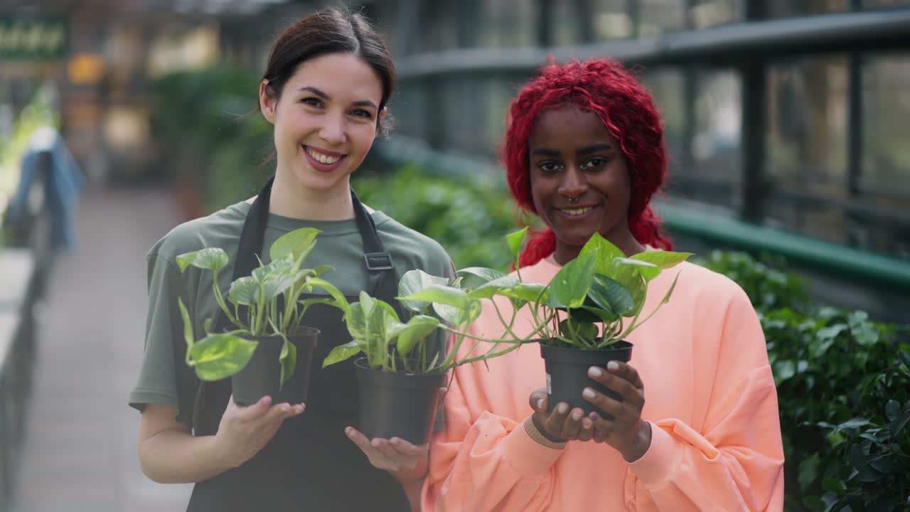 florista femenina y consumidor de pie entre filas de flores sosteniendo macetas de plantas verdes y mirando a la cámara