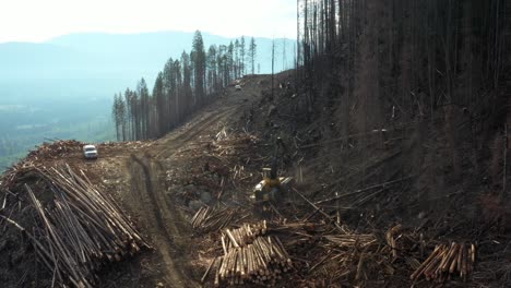 Holzernte:-Drohne-Erfasst-Radmaschine-Im-Wald-Von-British-Columbia