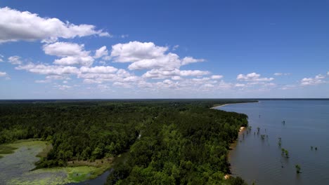 Lake-Moultrie-SC-Antenne,-Santee-Cooper-Lakes,-Lake-Moultrie-South-Carolina