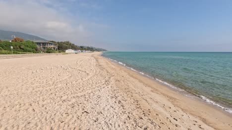 calm beach with clear blue water