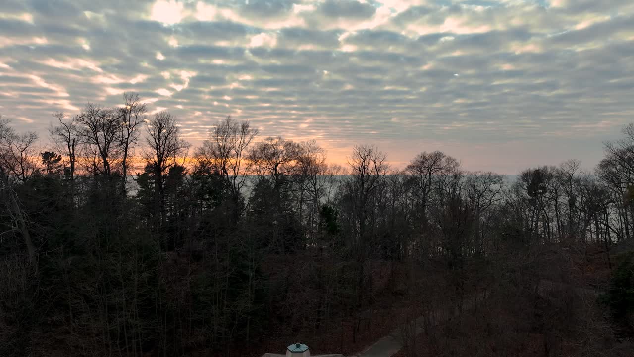 나무 선 위로 올라와 근처의 호수 위에 해가 지는 것을 보여줍니다.