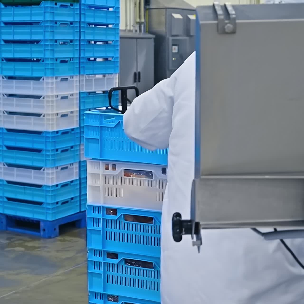 Chicken meat production. Chicken meat packaging. Worker takes packaged meat in food processing factory. Refrigeration room with ready products at a meat-packing plant