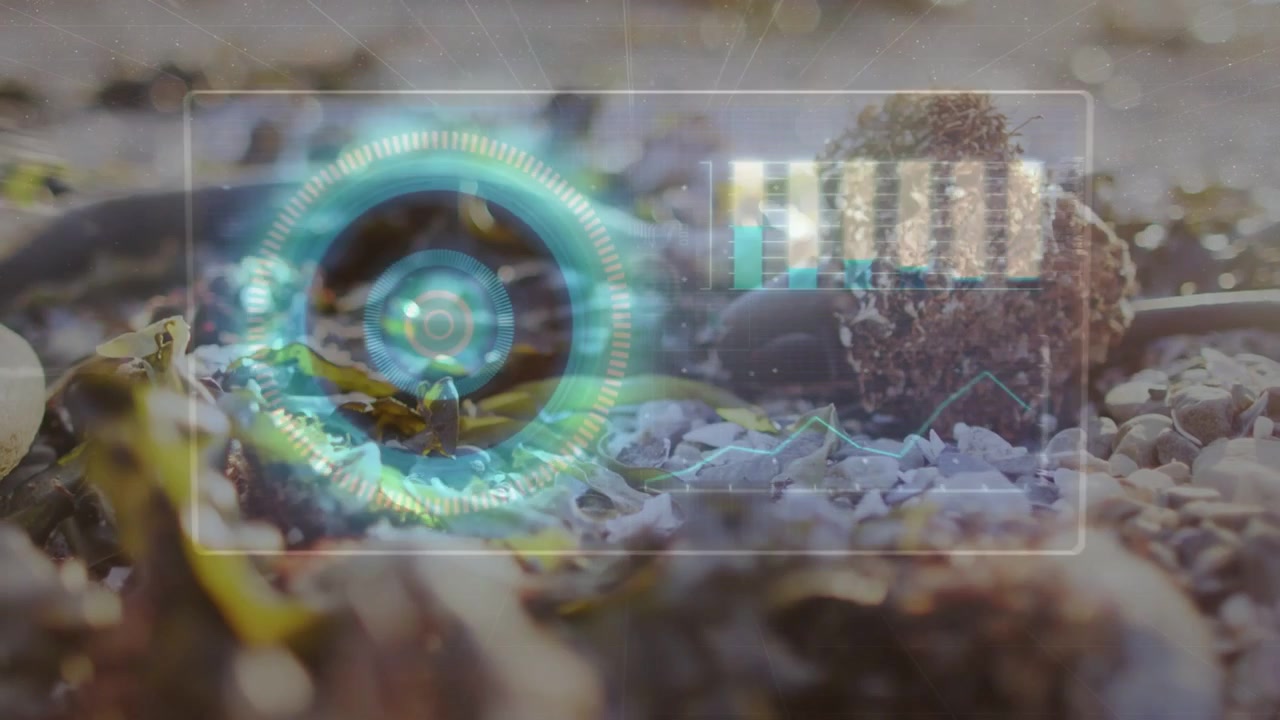 Video verticale: HUD che scansiona il peduncolo di un balano mentre un sensore rileva un oggetto, visualizzando dati radiali.