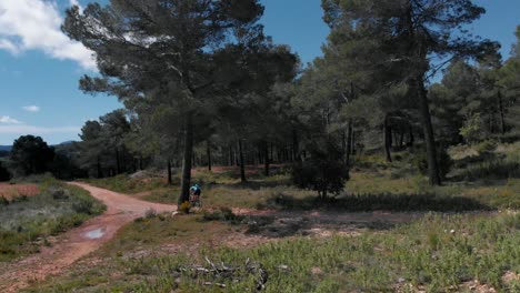 Mujer-Ciclista-De-Montaña-Cuesta-Abajo-Ciclismo-De-Montaña-Pista-Forestal