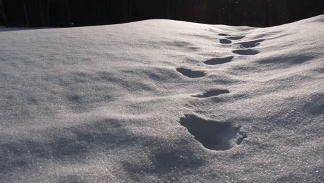 Asombrosas-Huellas-Nítidas-De-Santa-Claus,-Nieve-Navideña-Cayendo-En-Cámara-Lenta