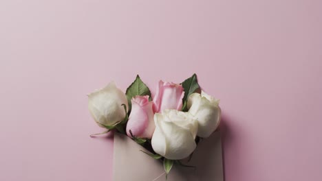 Video-of-bunch-of-white-and-pink-roses-in-envelope-and-copy-space-on-pink-background