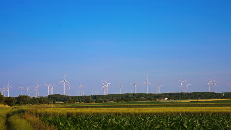 tall wind turbines in the fields. a peaceful rural landscape features numerous wind turbines under a clear blue sky, surrounded by fields