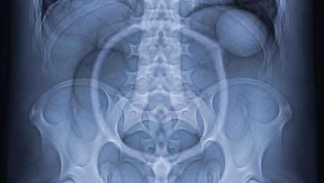 explore the intricacies of human skeletal structure as displayed through advanced imaging techniques. this informative session emphasizes the importance in medicine and education.