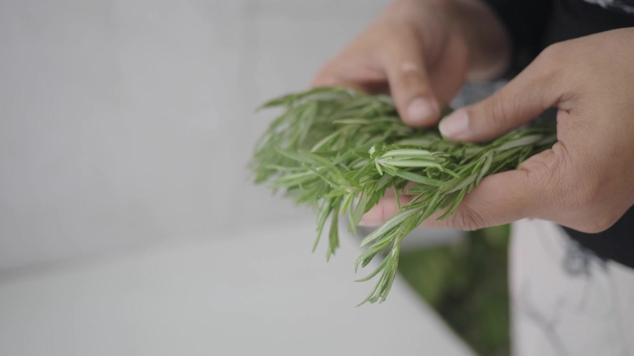 Primo piano di mani che tengono rosmarino fresco e verde