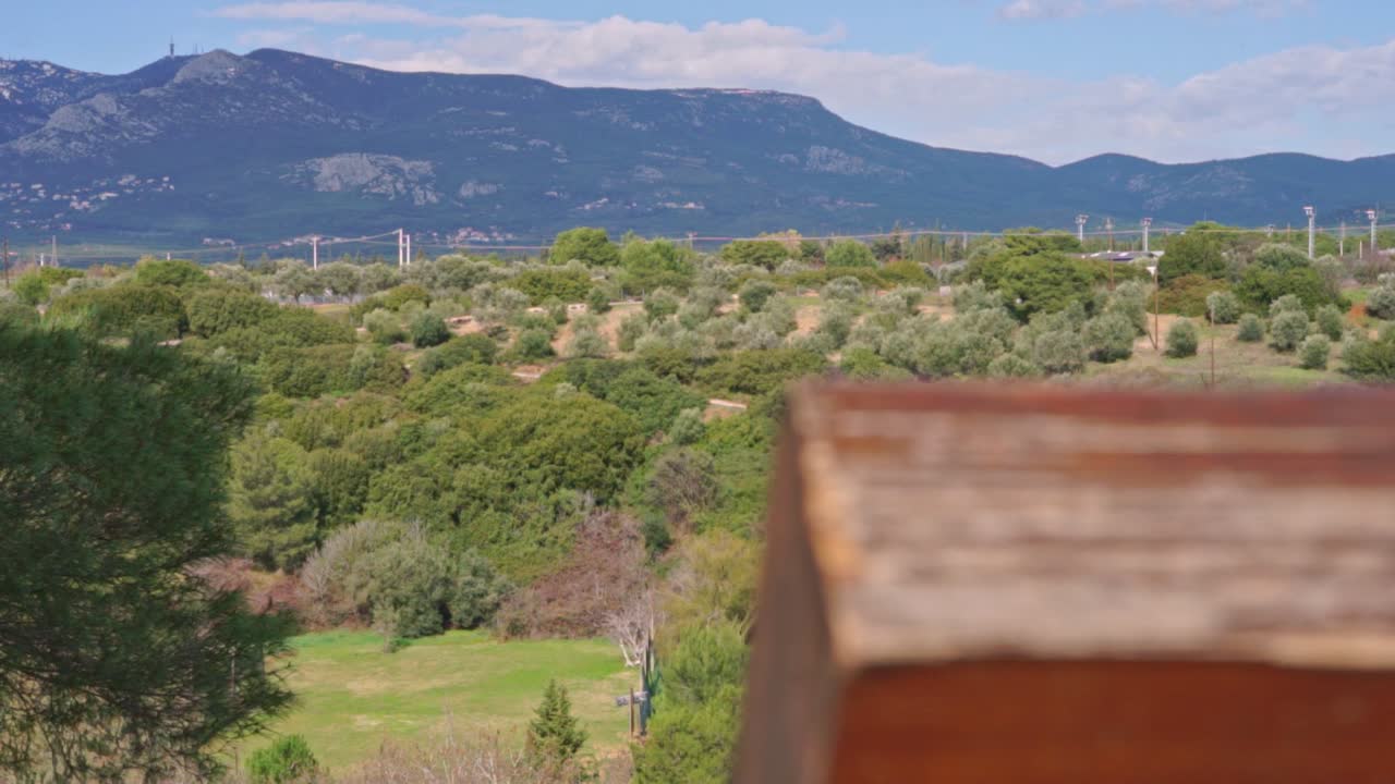 parnitha 산, 60fps 초점 랙을 드러내는 나무 벤치의 슬라이드 샷