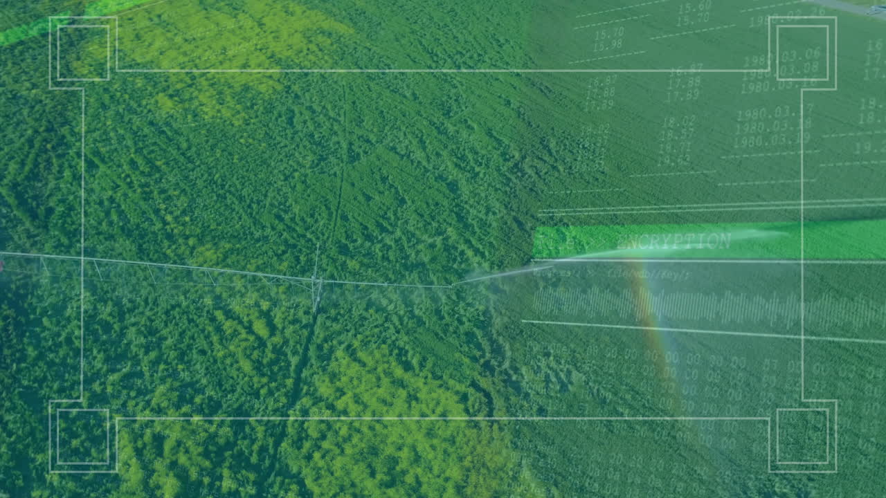 Aerial view of lush green forest with data processing animation overlay