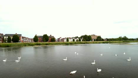 Aerial-shot-of-The-Waterworks-in-North-Belfast,-NI