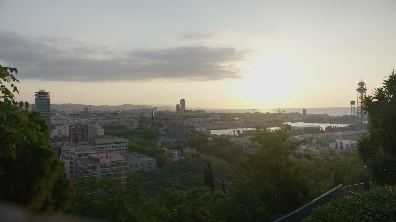 Hi Res View Over Scenic Trees, Barcelona Spain City Skyline with Golden Sunrise in 6K as Birds Fly