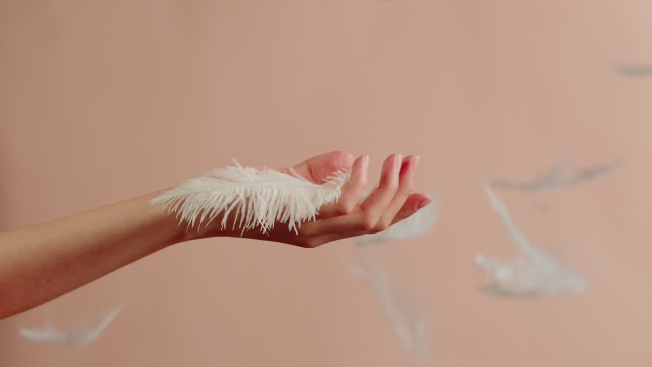 Woman's Hand Holding a Feather