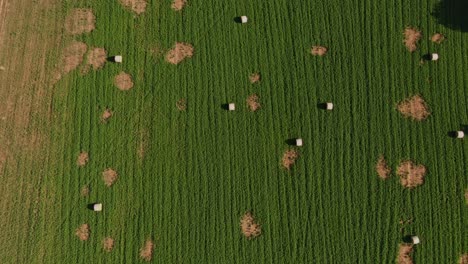 aerial view of hay bales in patchy green field