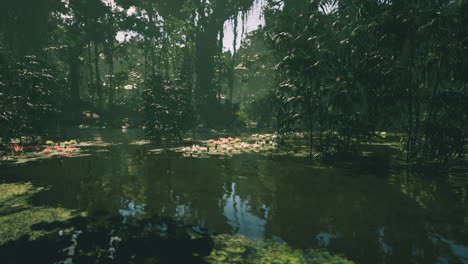 tranquil jungle pond