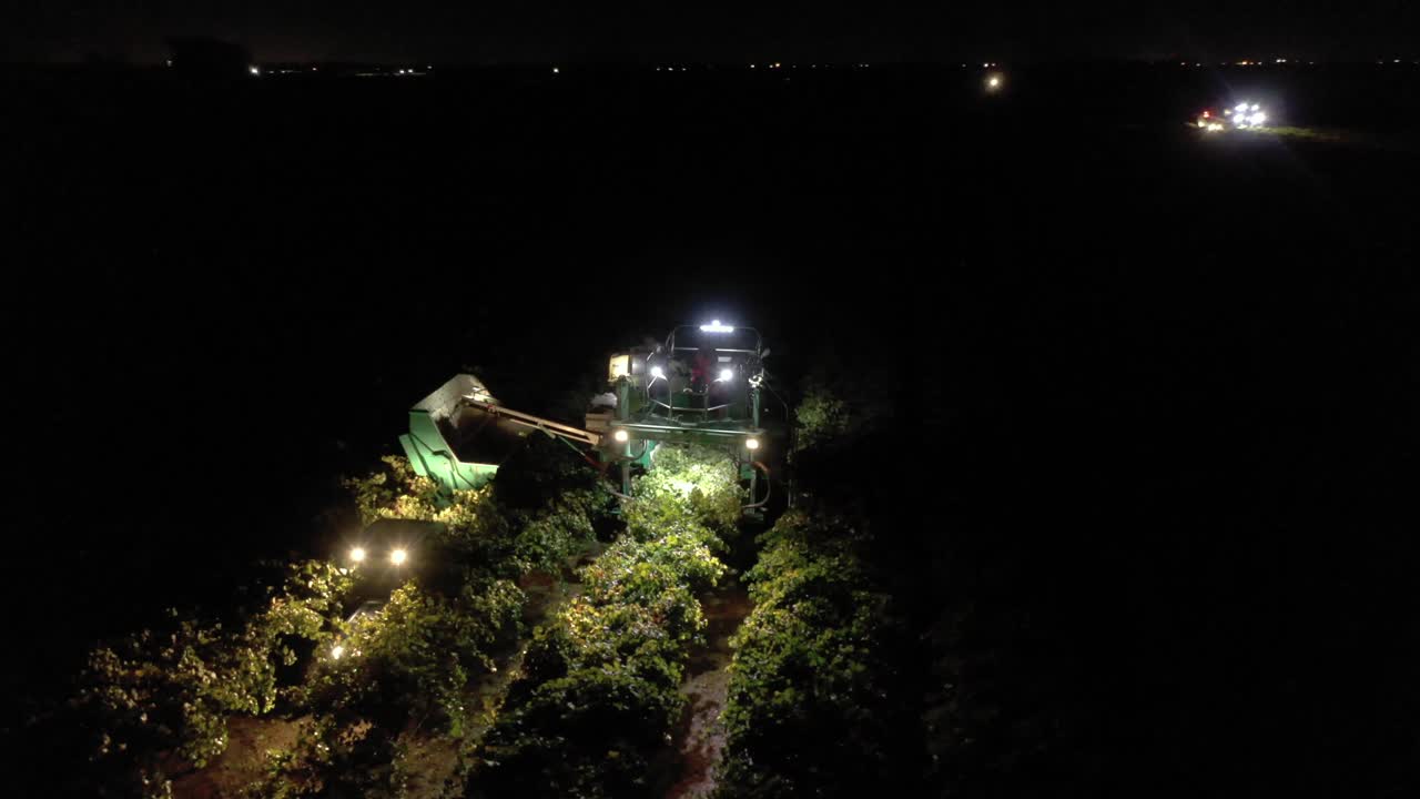 酒葡萄收割機的空中拍攝