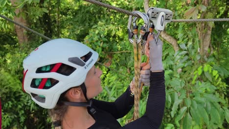 ziplining adventure in a lush forest
