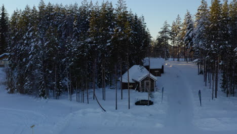 aerial view passing remote wintertime snow covered woodland cabin rising above alpine trees at sunrise