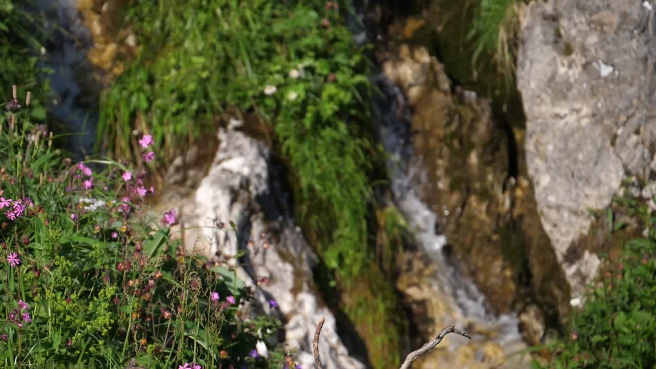 Small River going down rocks in Slowmotion