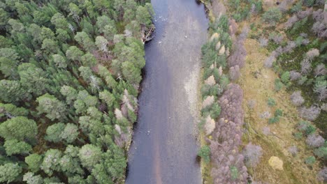 aerial drone footage above a river and forest in the cairngorms national park, scotland with pine, birch and larch trees on the river bank tilting to reveal a forest and mountain landscape