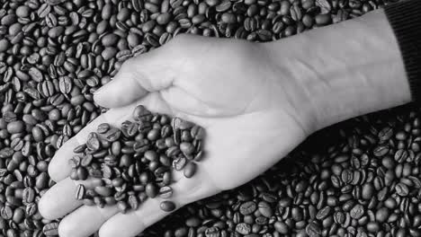 roasted-brown-coffee-beans-in-a-heap-with-hand-stock-video