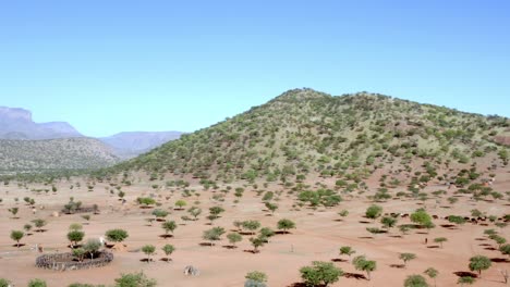 this is the arid region of northern namibia